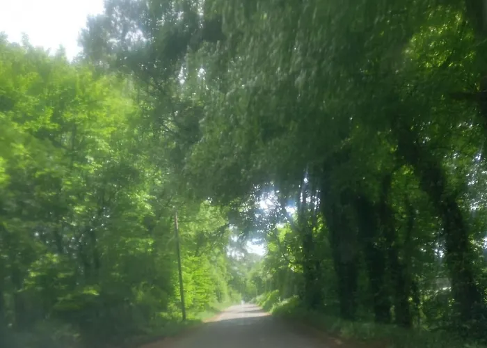 度假居 The Spinans